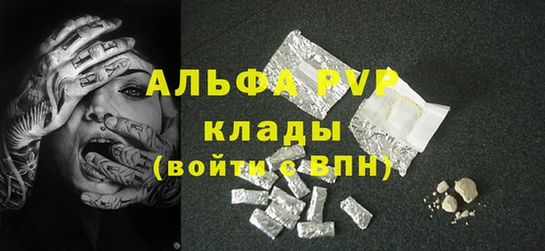 шишки Аркадак