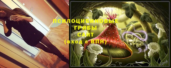 шишки Аркадак