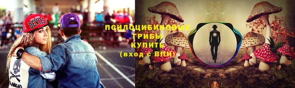 шишки Аркадак