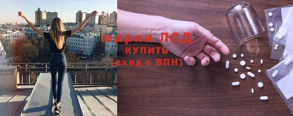 шишки Аркадак
