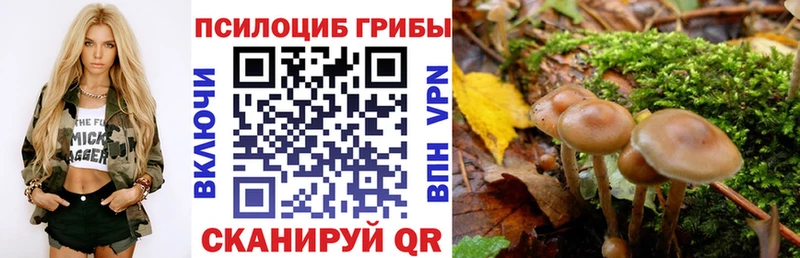 Купить закладки  Гороховец  Галлюциногенные грибы Magic Shrooms 